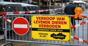 صورة لسوق في فلاندرز، بلجيكا، يظهر فيها لافتة كبيرة مكتوب عليها "حظر بيع الحيوانات الحية 2026"، مع أقفاص فارغة وحاجز للشرطة، في مشهد يرمز إلى تطبيق القانون الجديد ومنع بيع الحيوانات في الأسواق الأسبوعية.